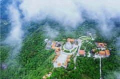 东莞观音山景区2000亩林木惨遭毁坏，谁之过？